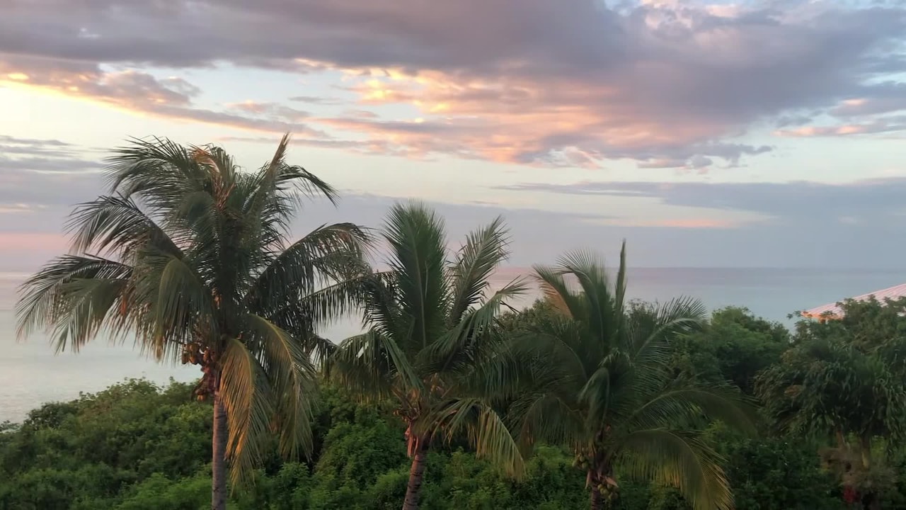 Property video