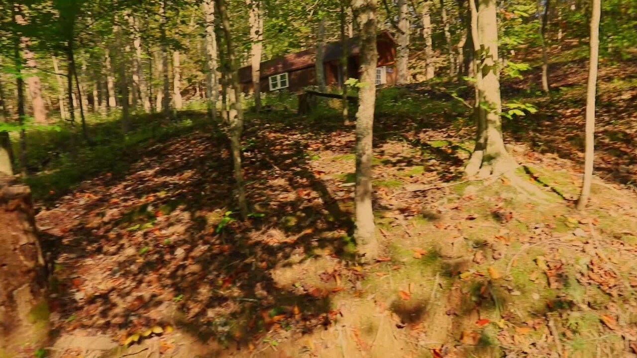 宿泊施設による動画