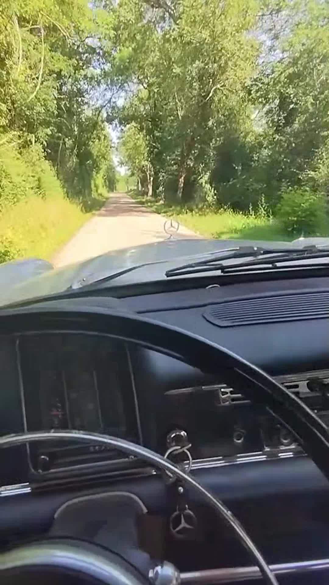 Video van accommodatie