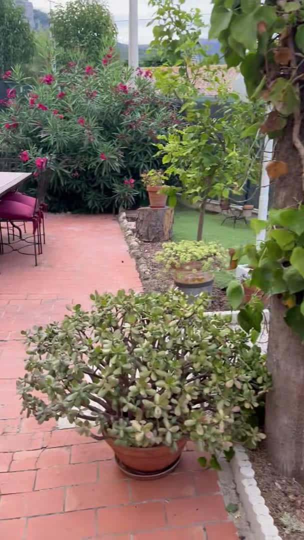 Property video