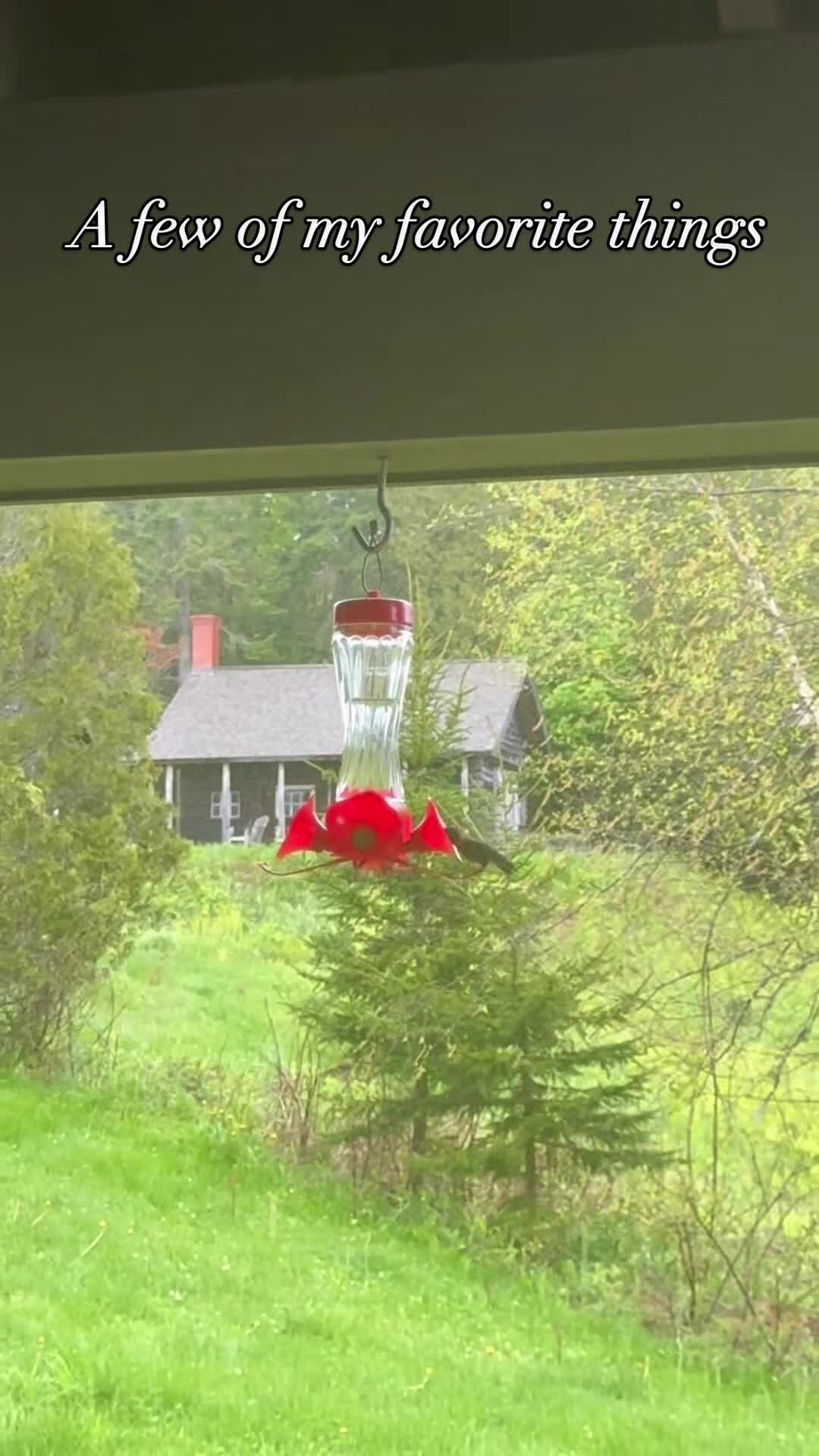Property video