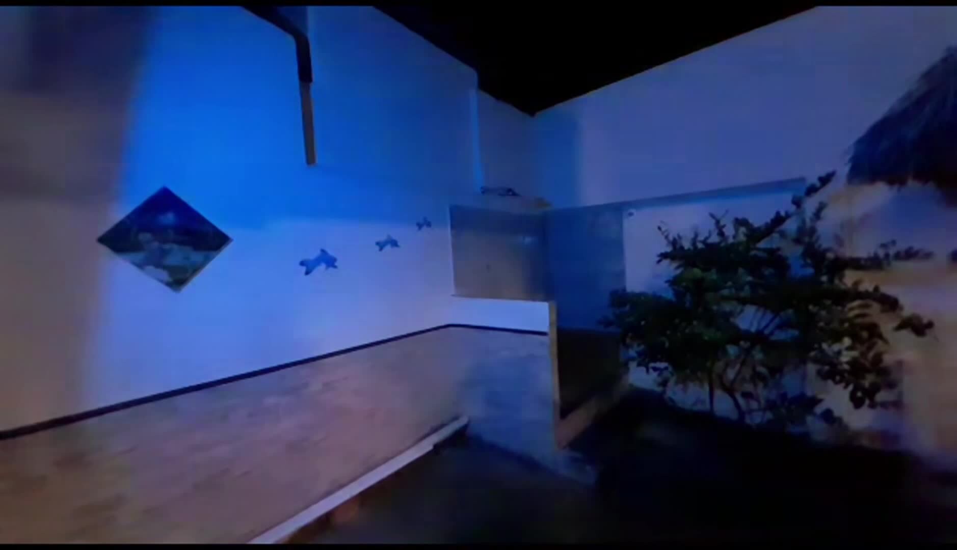 Vidéo de l’hébergement