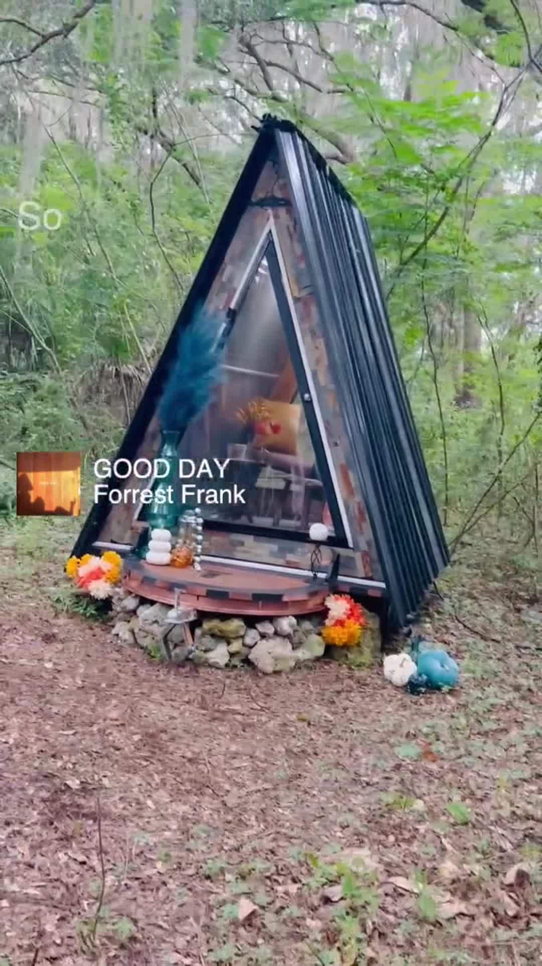 Property video