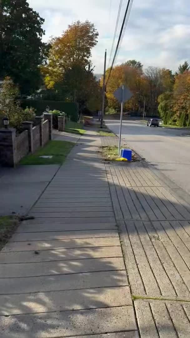 Video van accommodatie