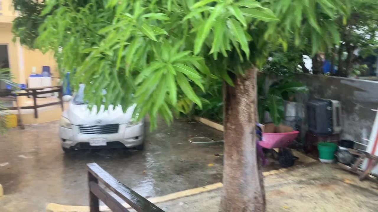 Property video