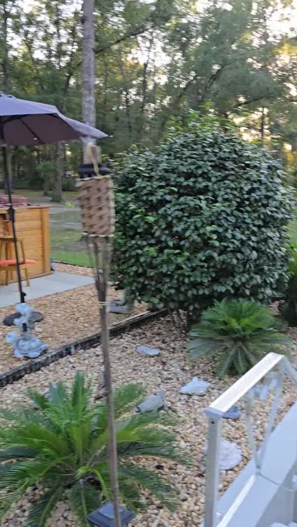 VidĂ©o de lâhĂ©bergement