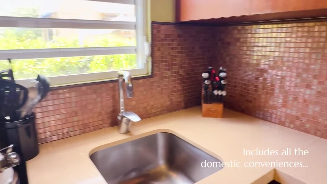 Property video