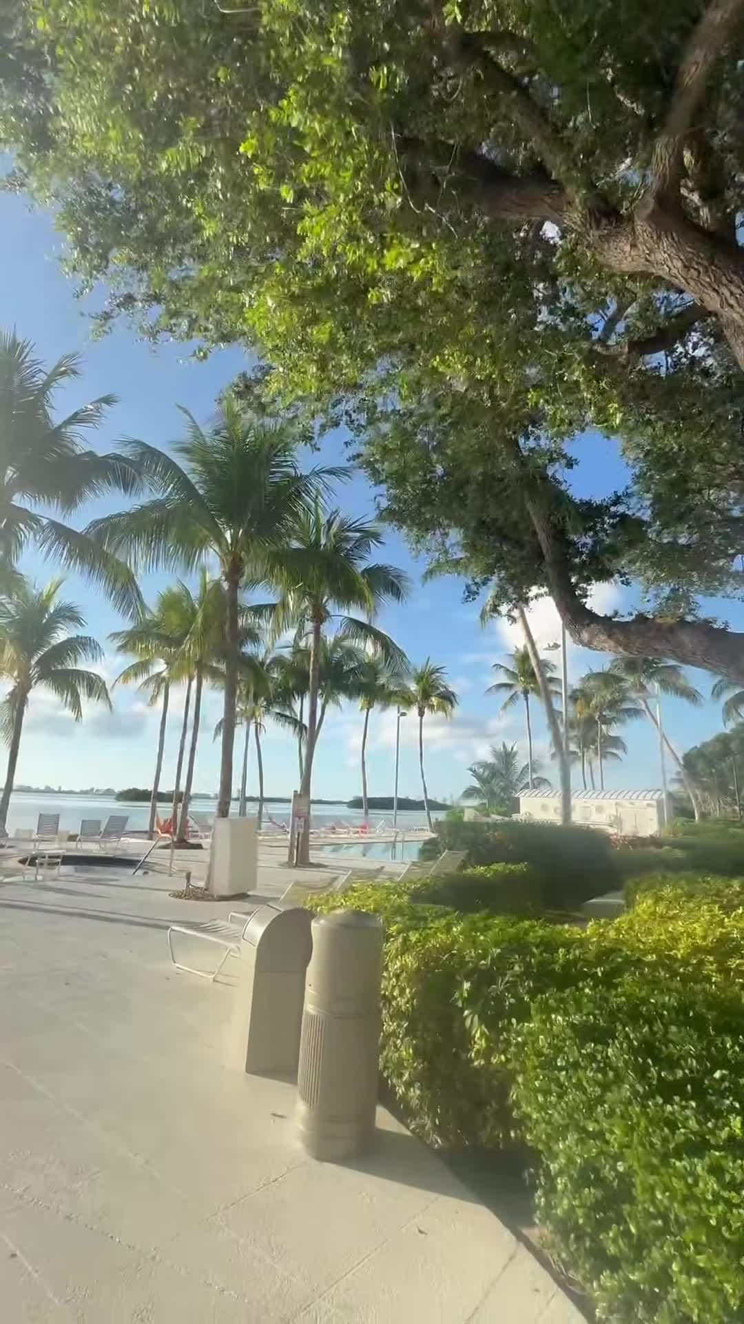 Property video