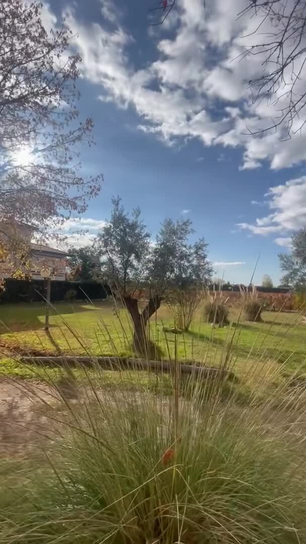 Video realizado por la propiedad