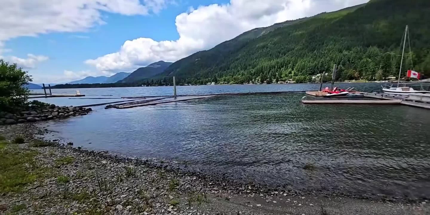 Property video