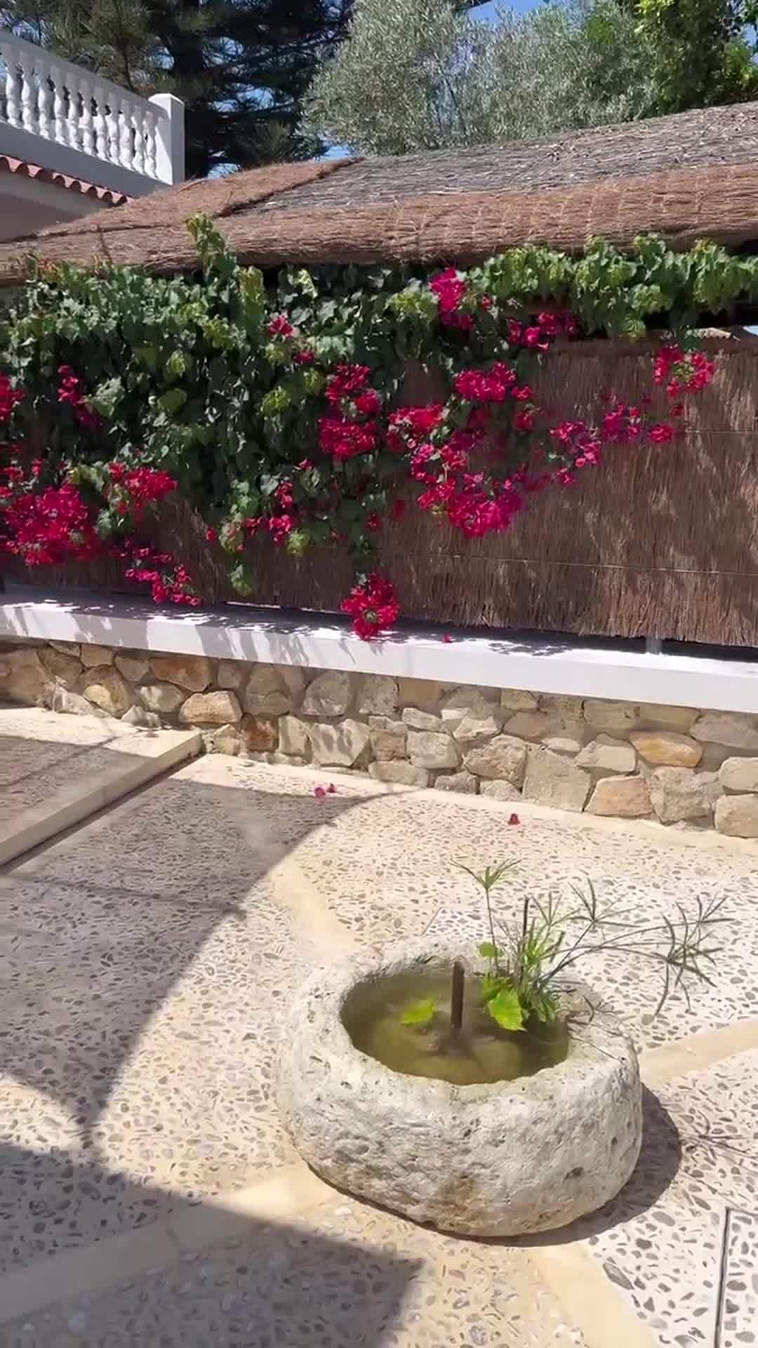 Property video