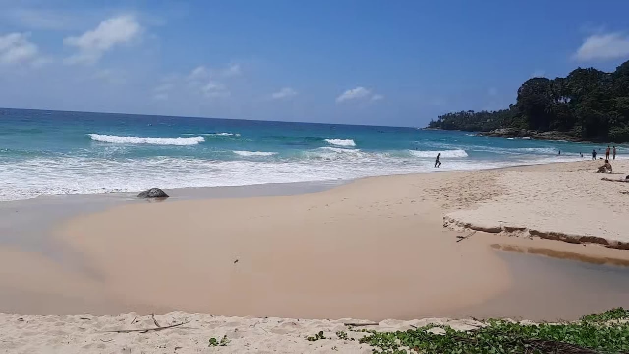 Property video