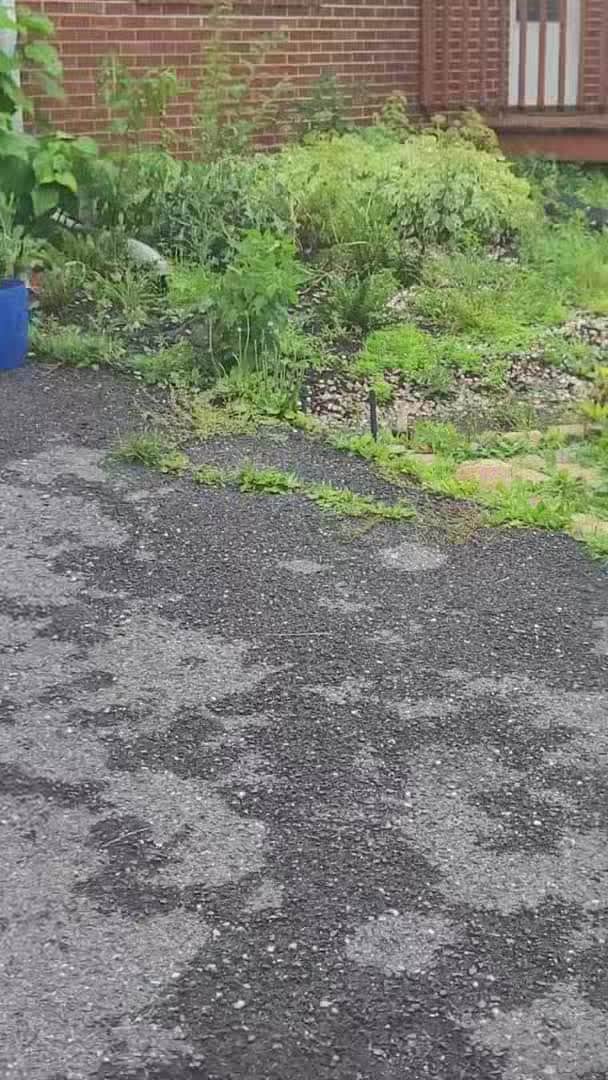 VidĂ©o de lâhĂ©bergement