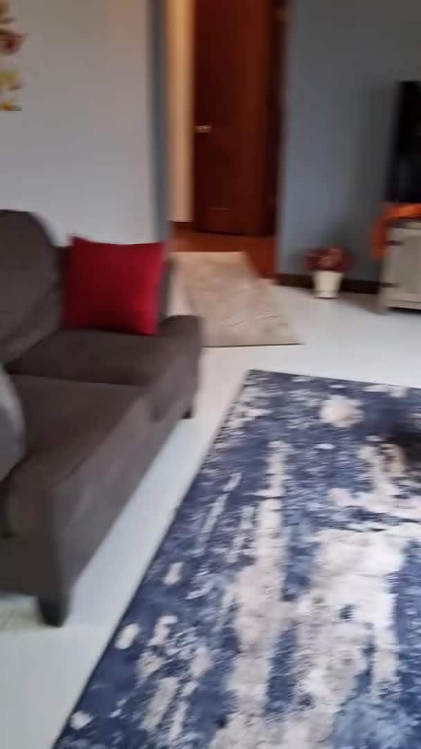 Video der Unterkunft