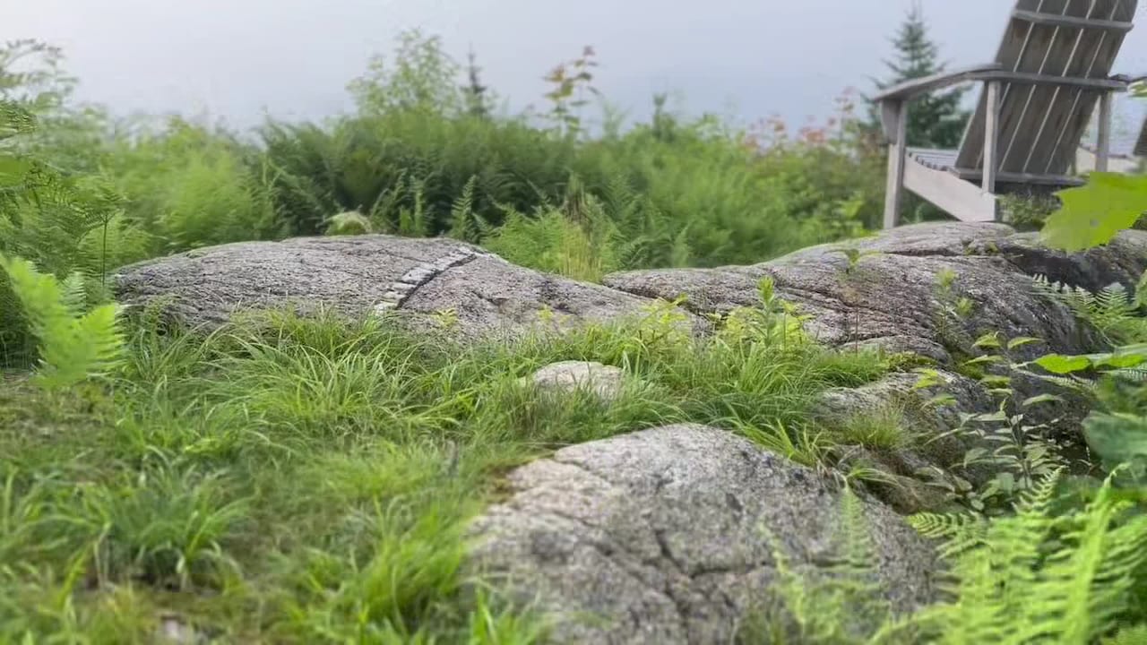 Video der Unterkunft
