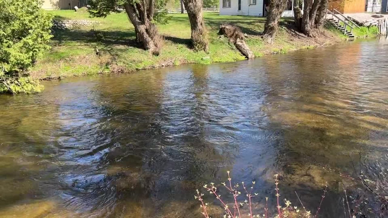 Video der Unterkunft