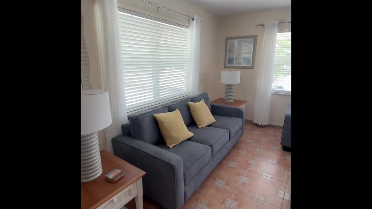 Property video