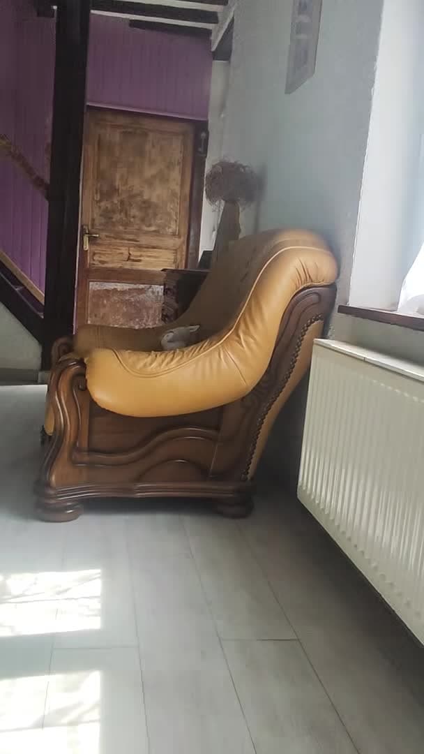 Property video