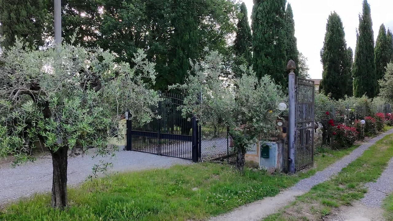 Video realizado por la propiedad