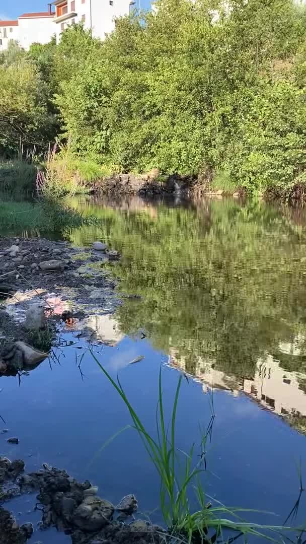 Majoituspaikan video