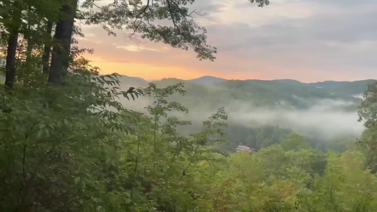 Vidéo de l’hébergement
