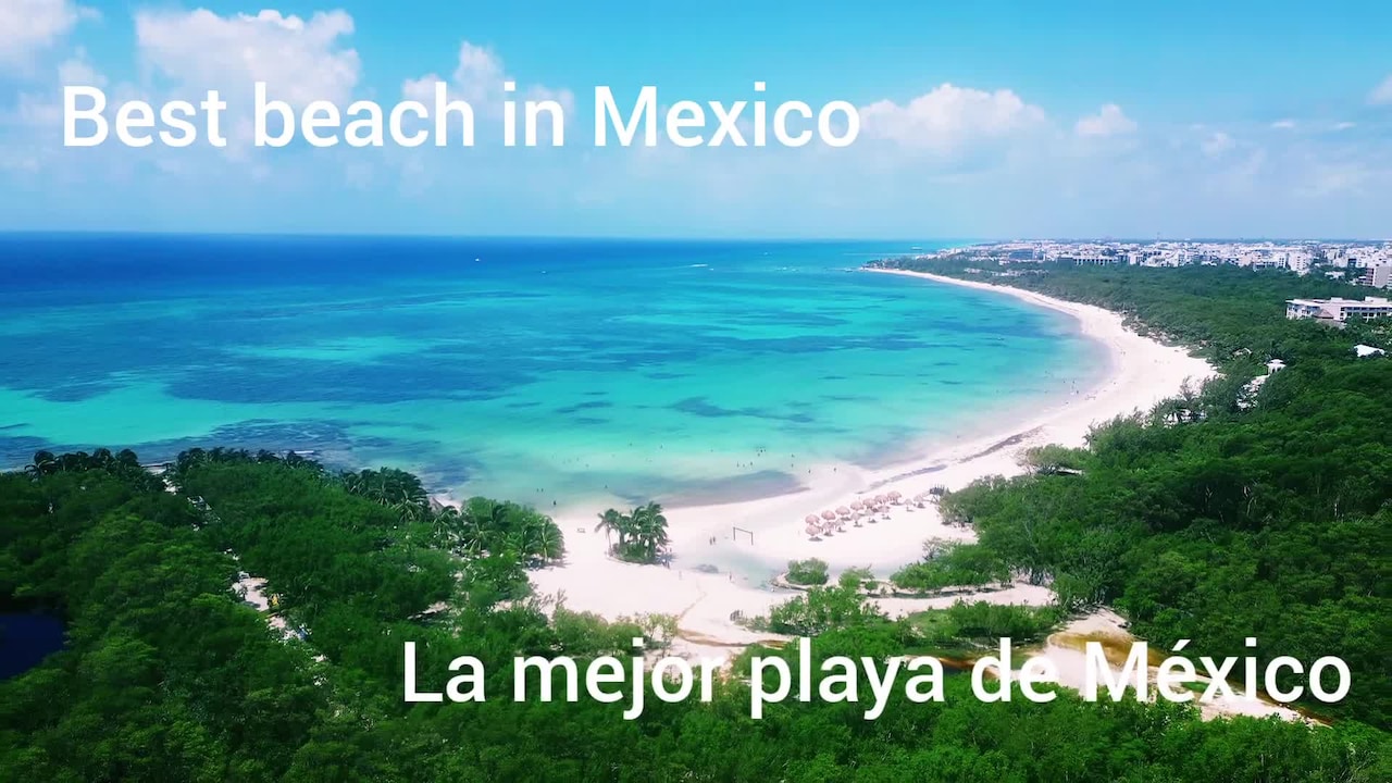Video realizado por la propiedad