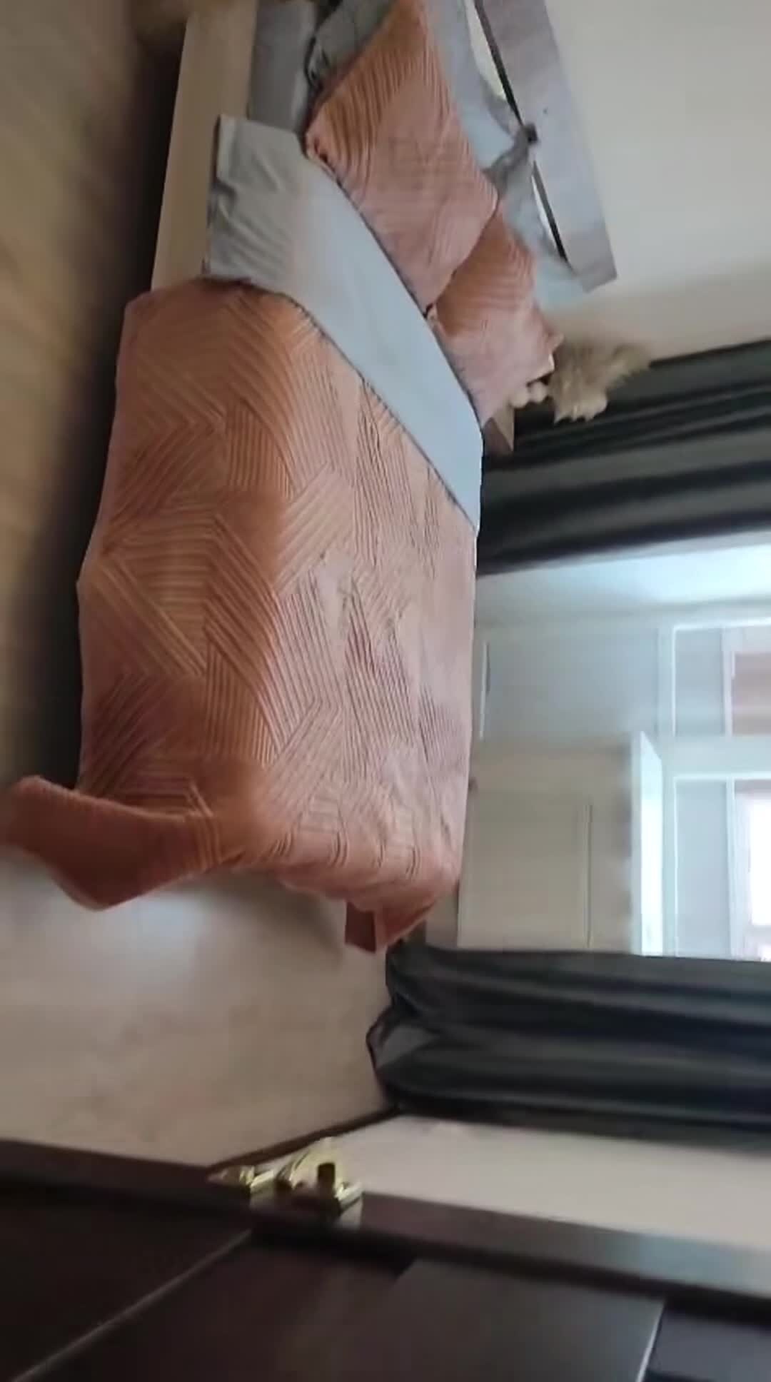 Video van accommodatie