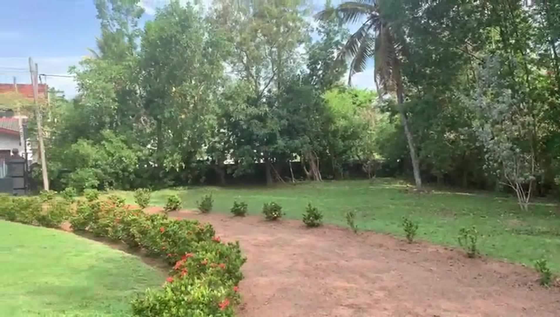 Property video