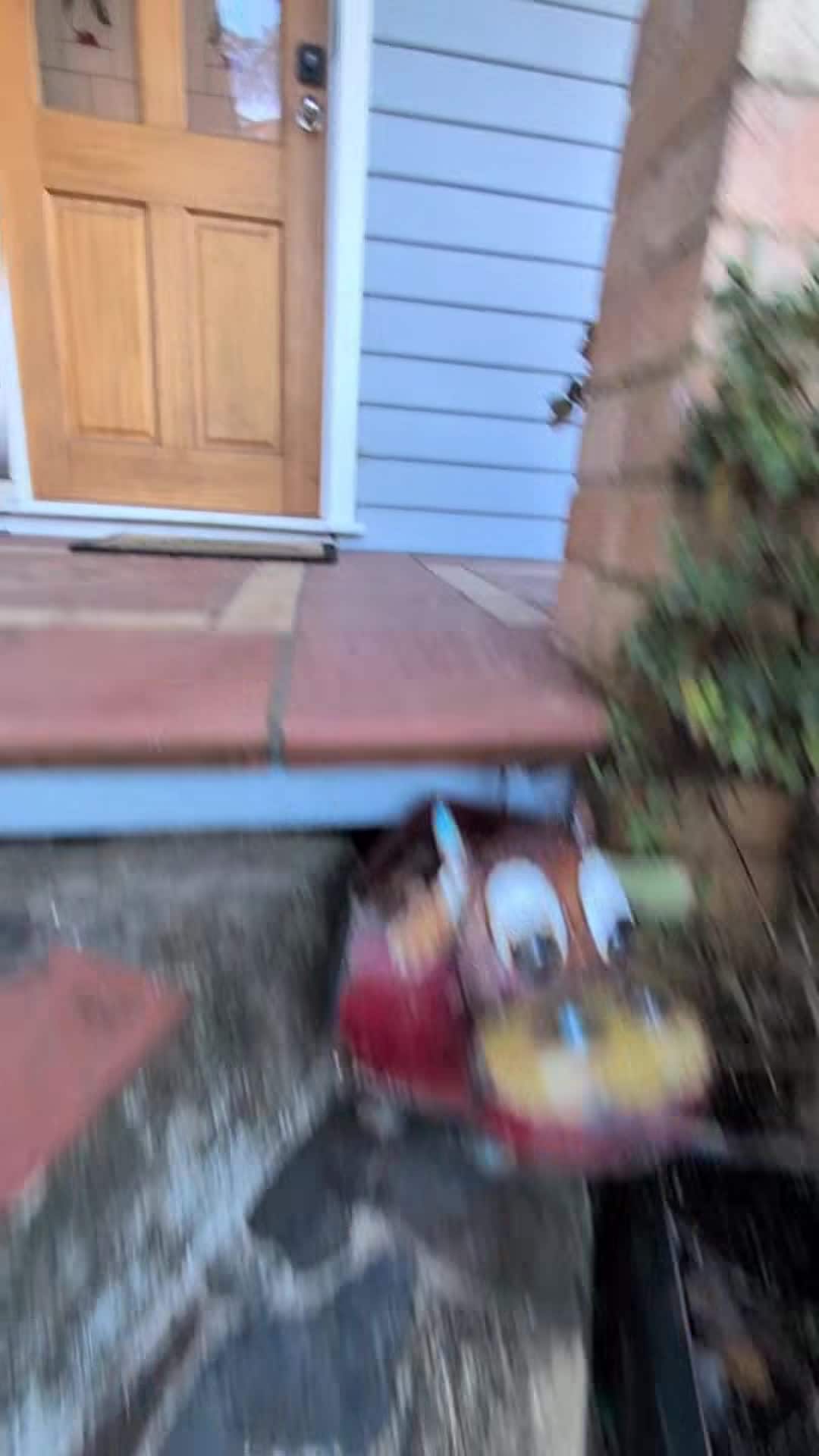 Property video