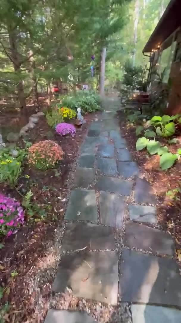 Property video