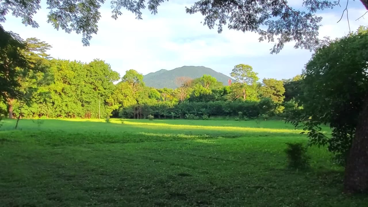 Property video
