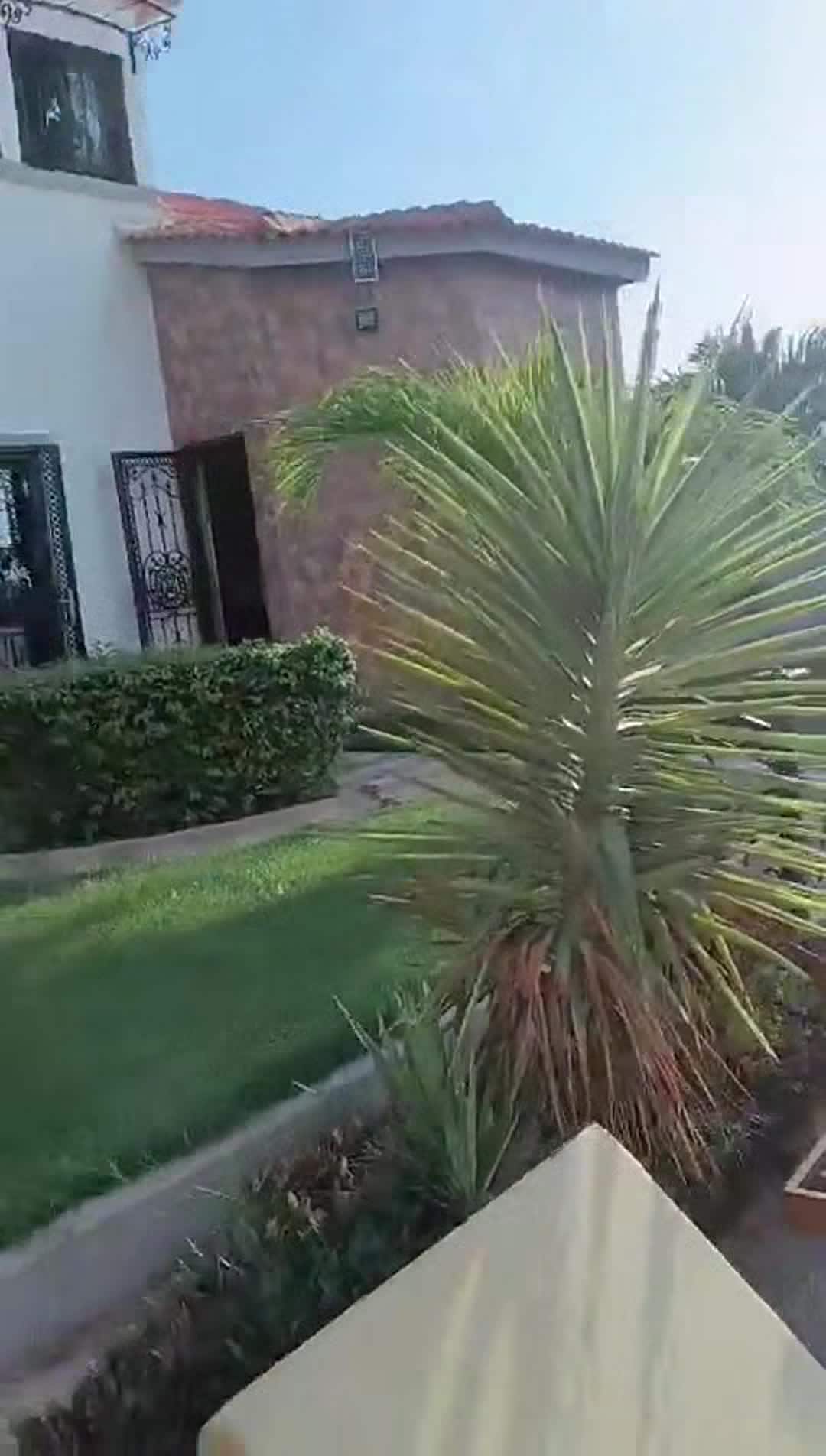 Video realizado por la propiedad