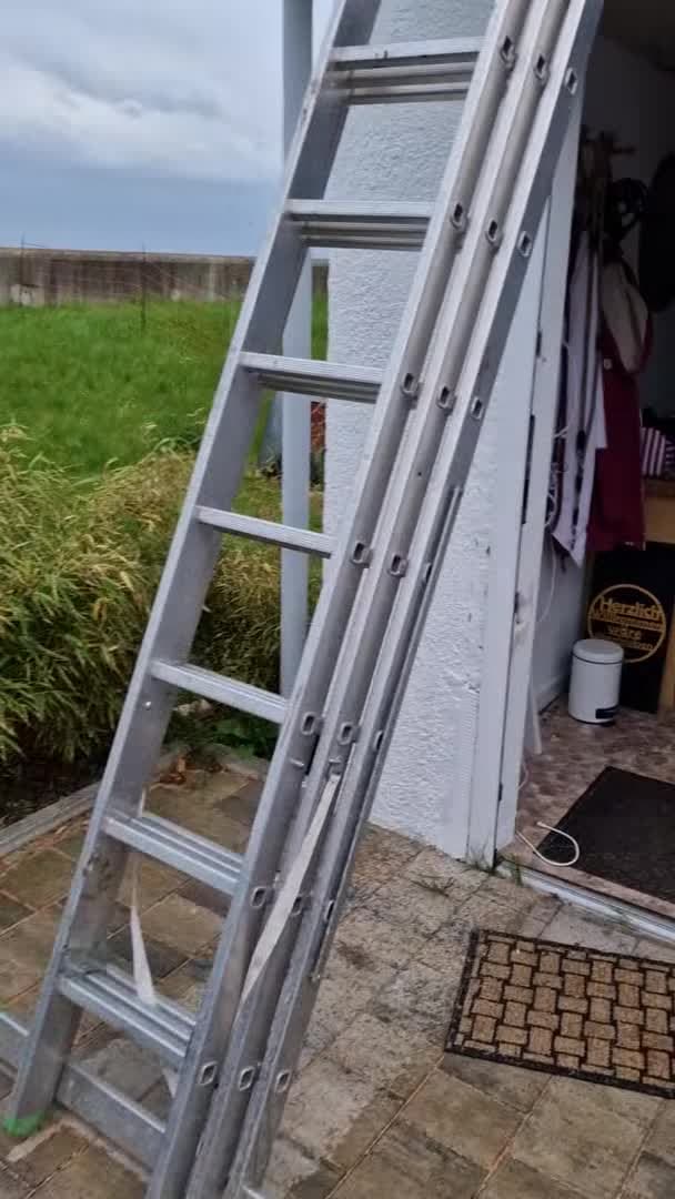 Video realizado por la propiedad