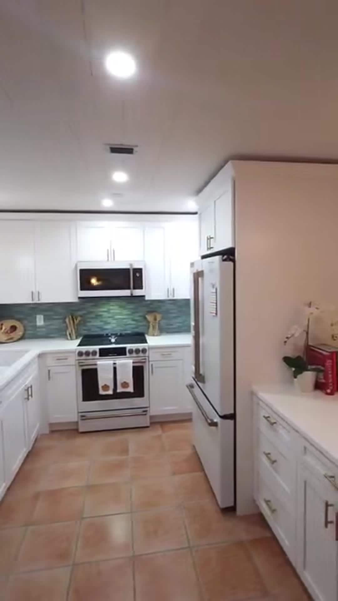 Video realizado por la propiedad