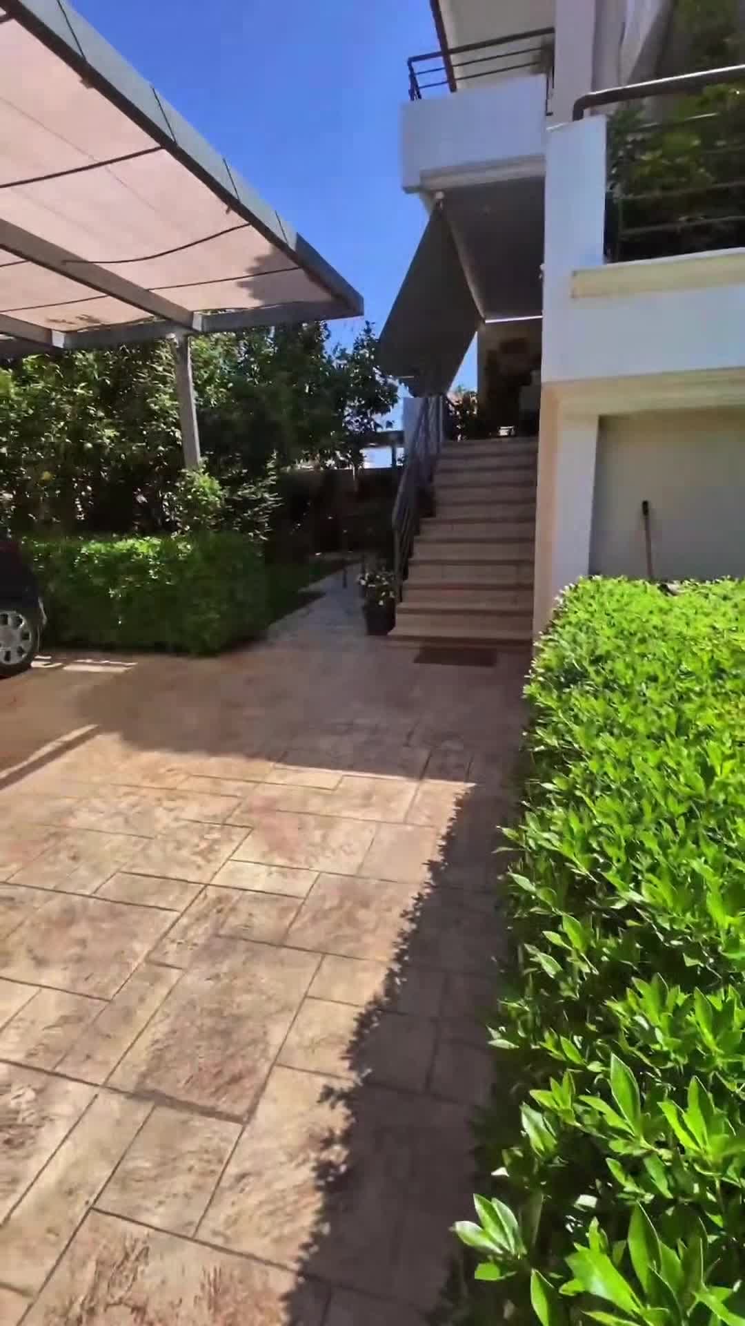Video realizado por la propiedad