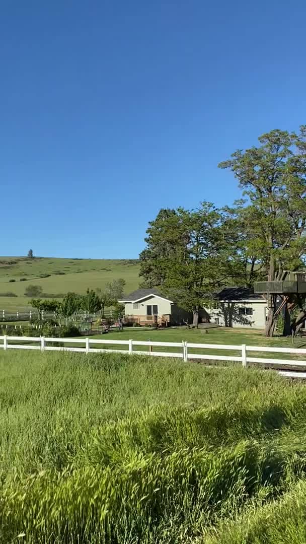 Property video