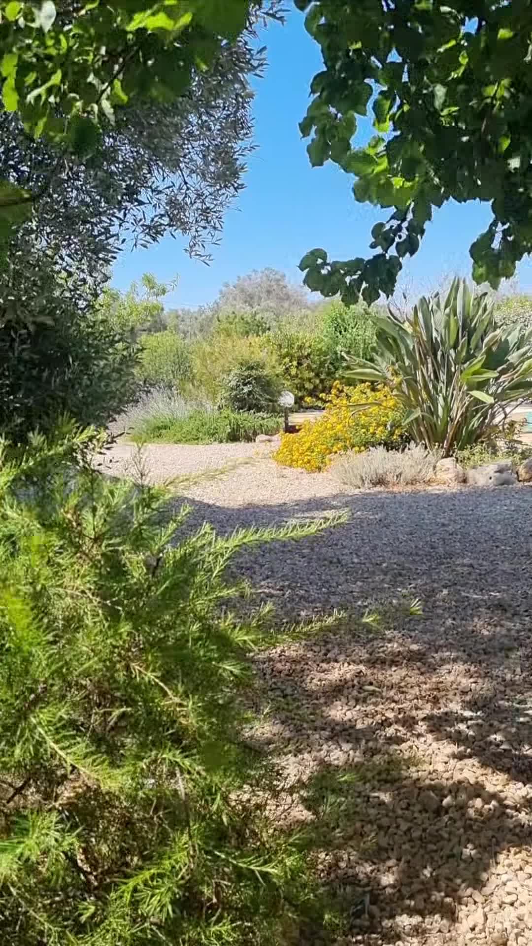 Video realizado por la propiedad