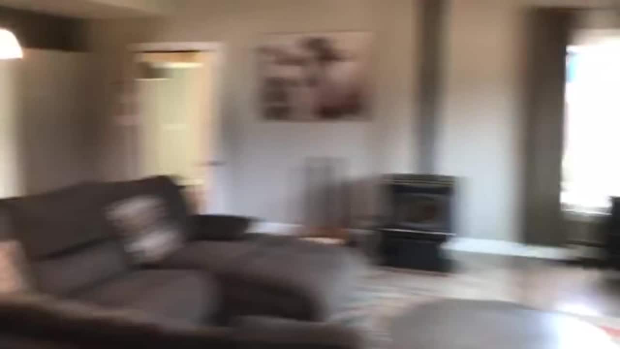 Video realizado por la propiedad