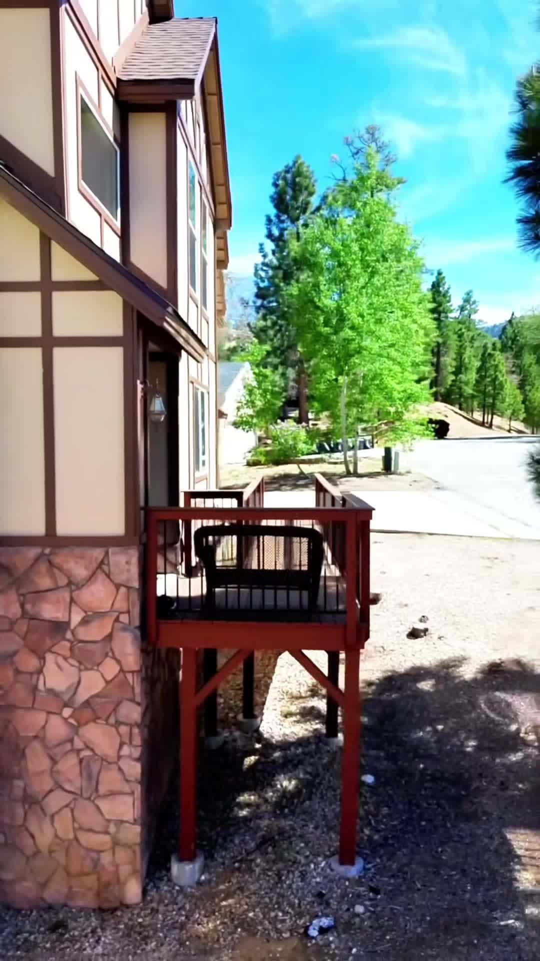 Property video