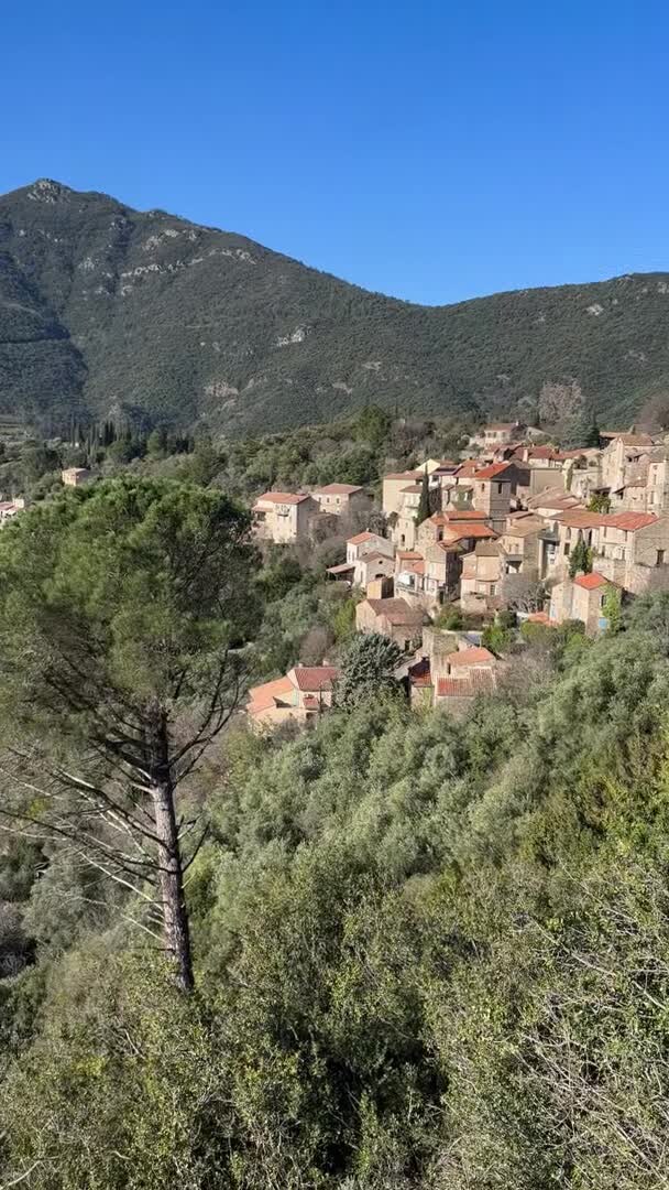 Vídeo fet per l’allotjament
