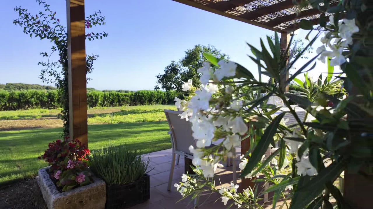 Property video