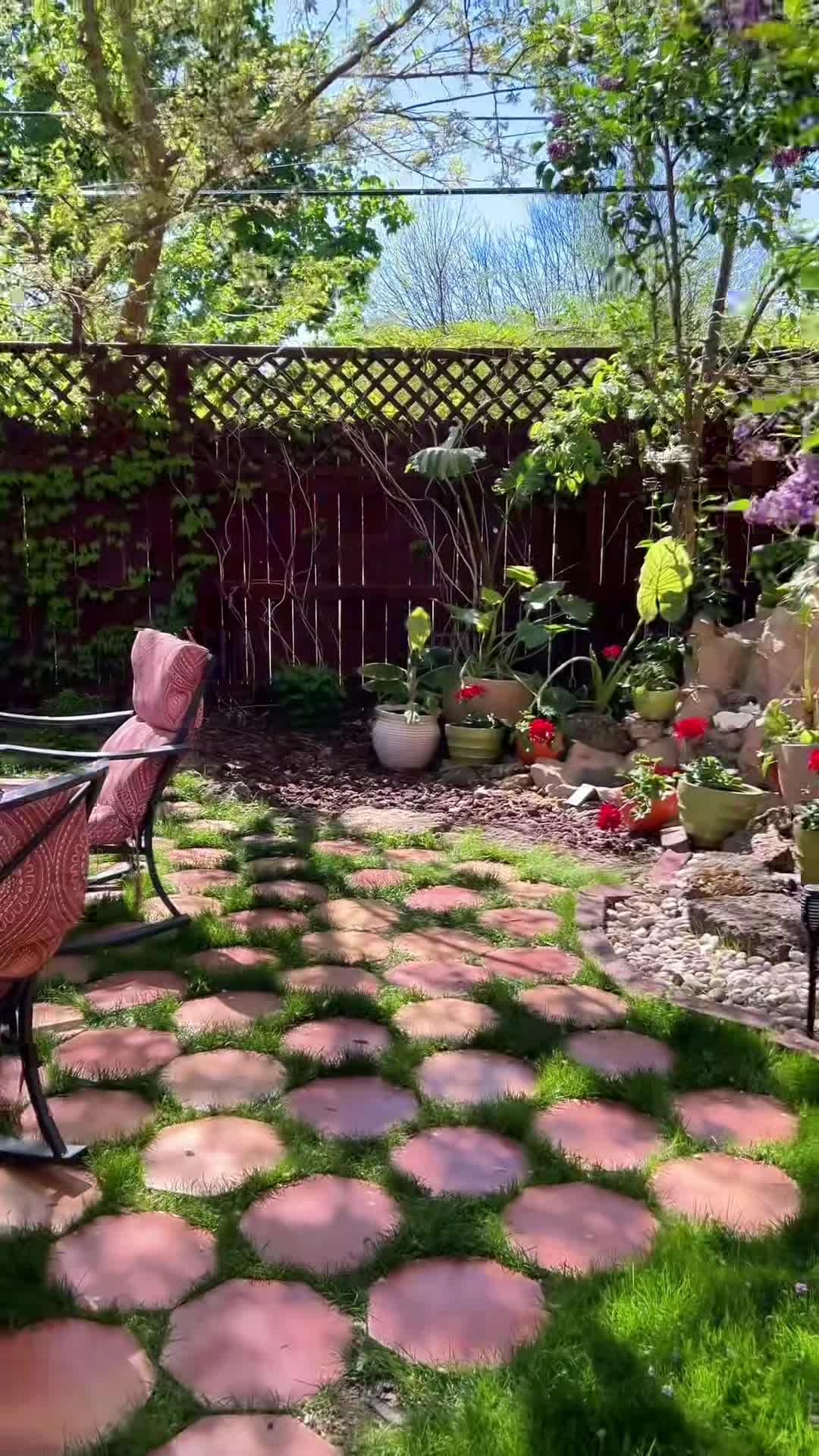 Video struttura