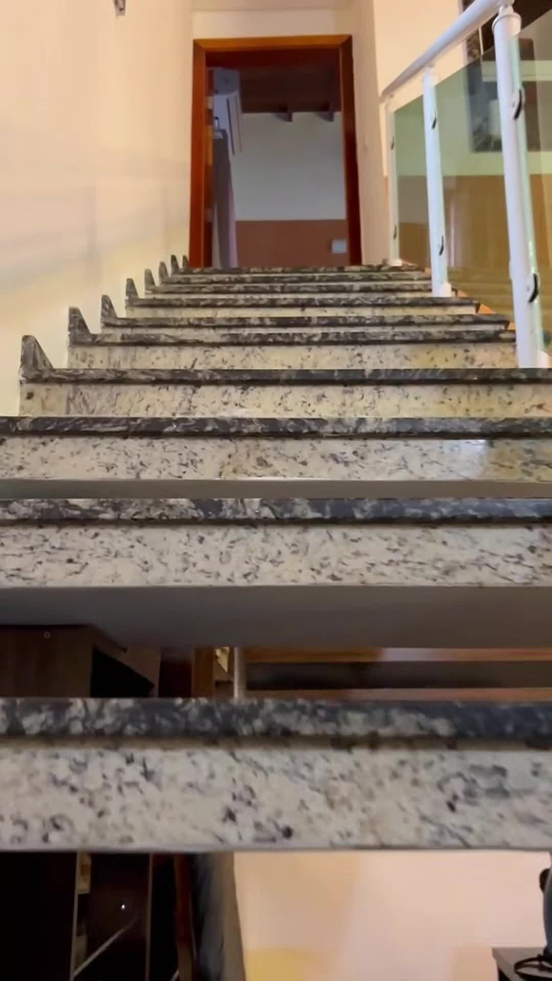 Video realizado por la propiedad