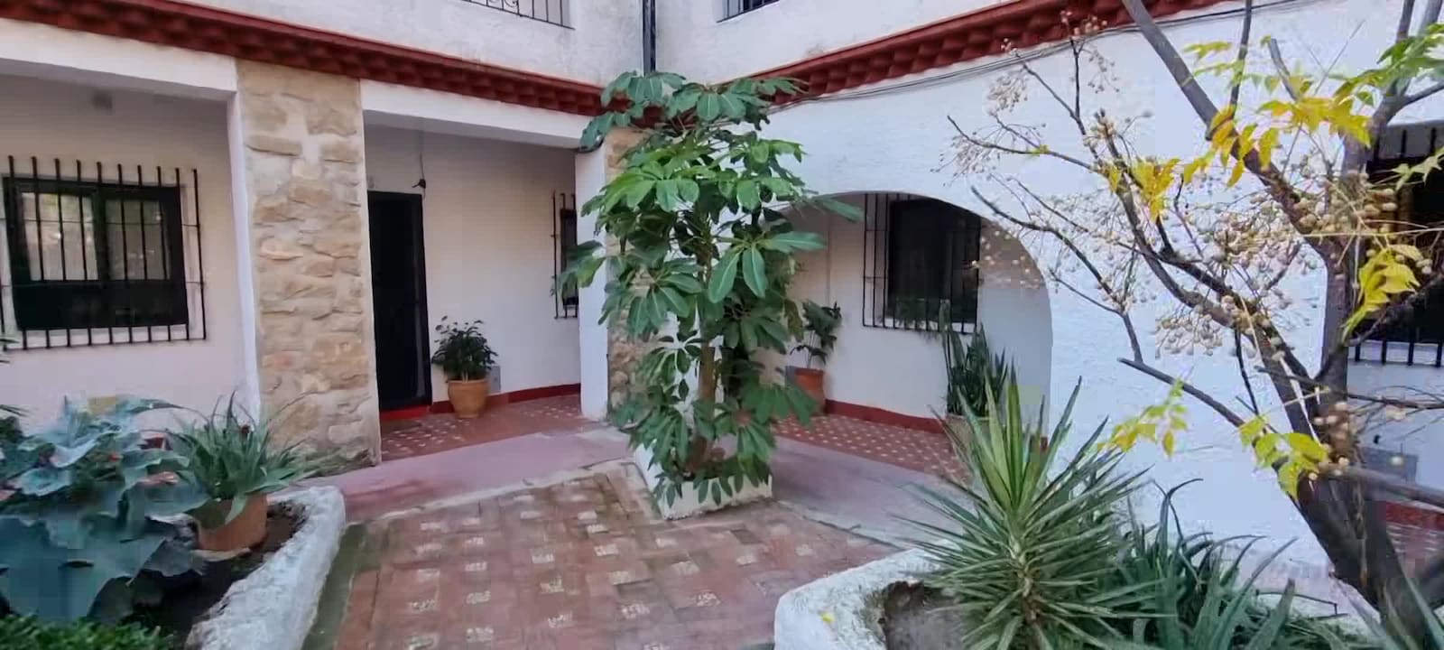 Property video