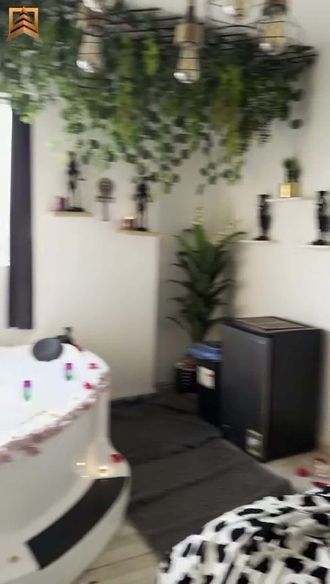 Property video