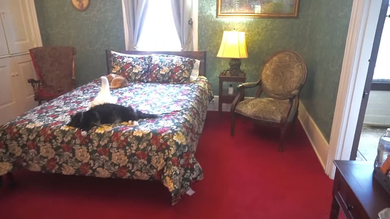 Property video