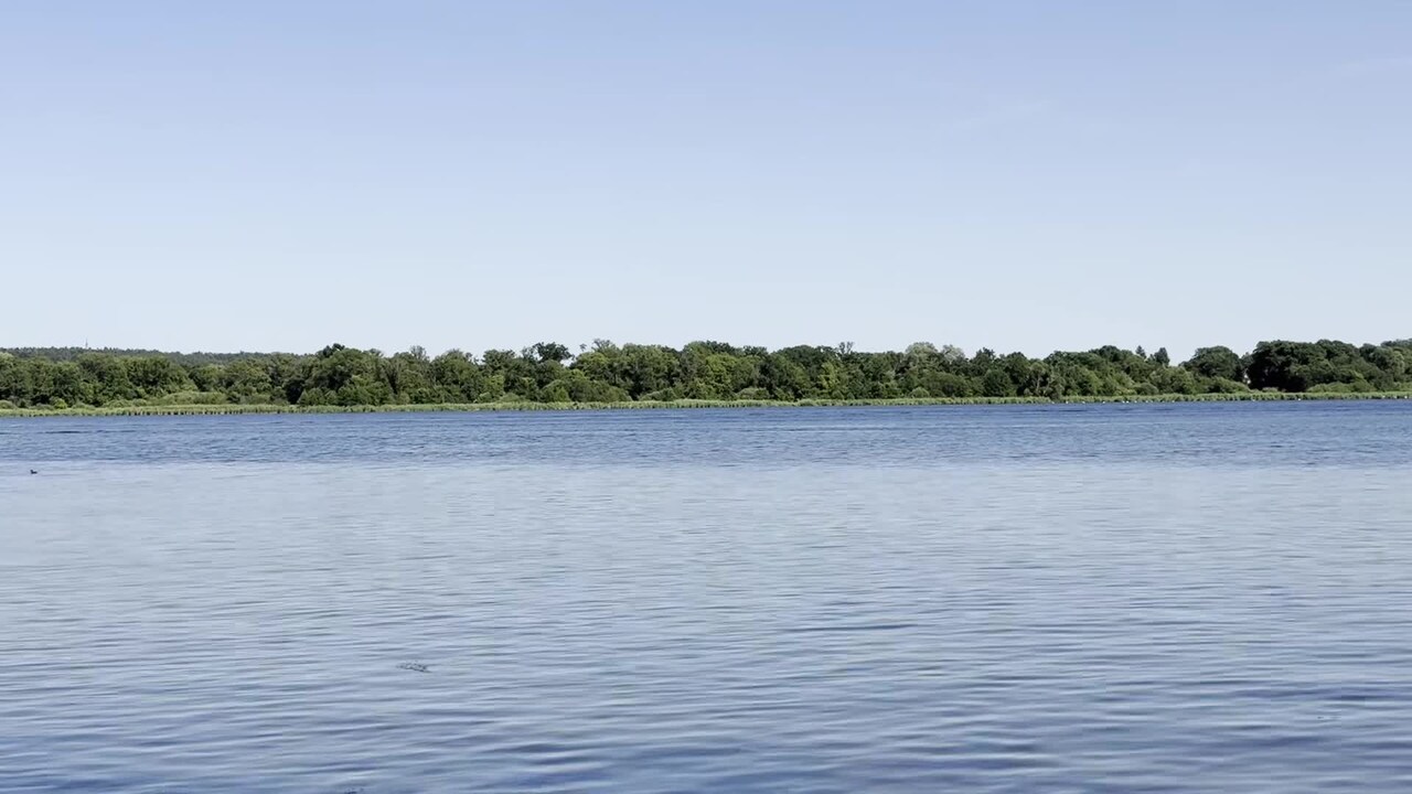 宿泊施設による動画