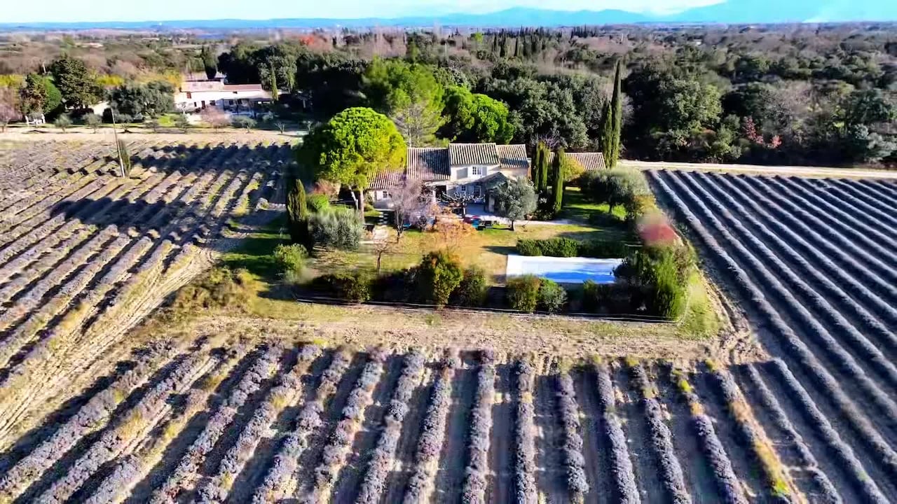 Video realizado por la propiedad
