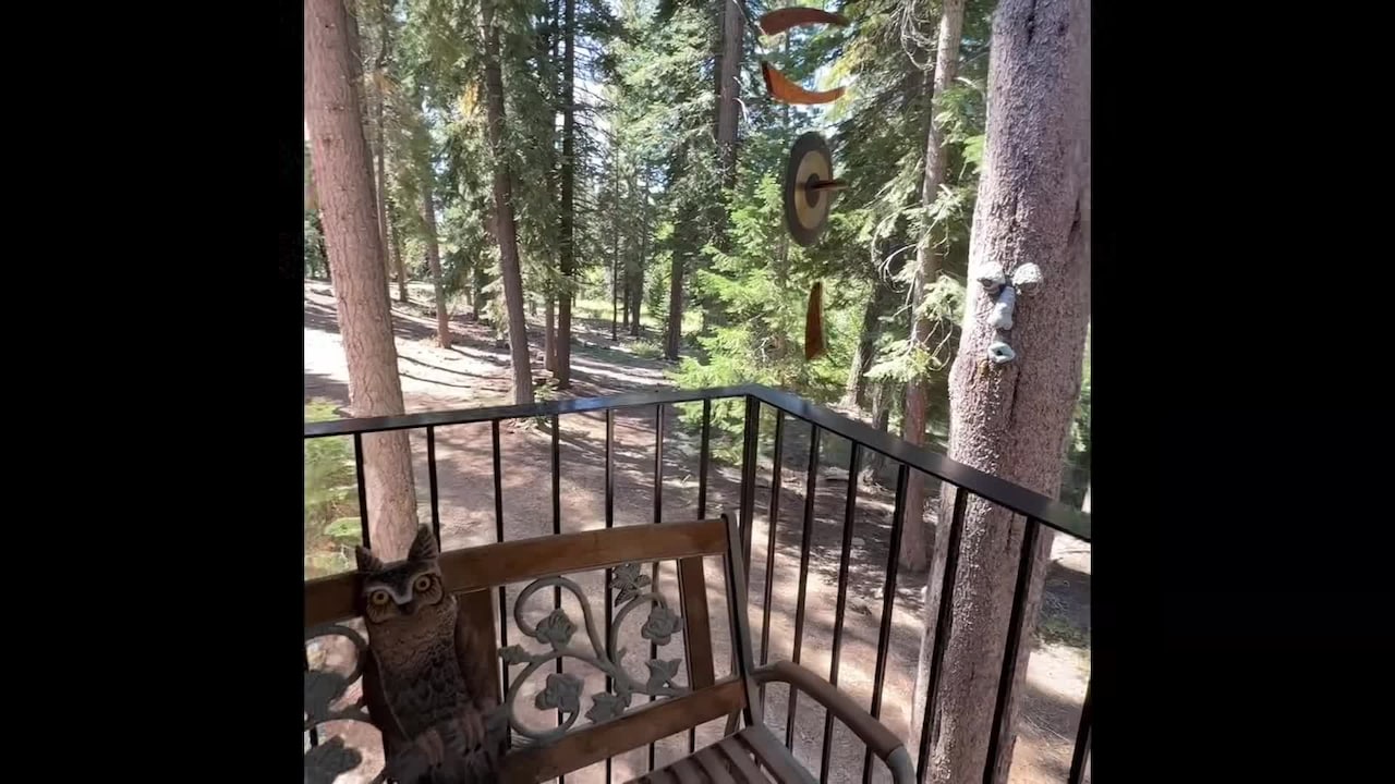 Property video