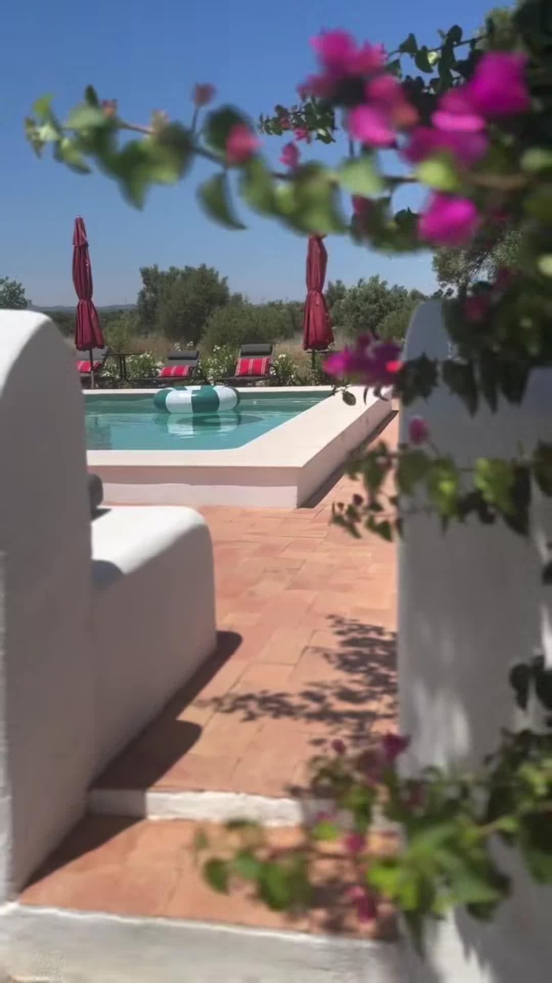 Property video